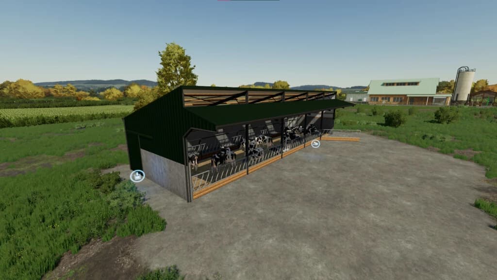 FIVE BAY COW SHED 4
