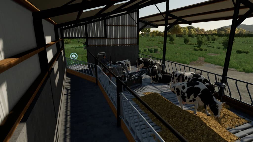 FIVE BAY COW SHED 2