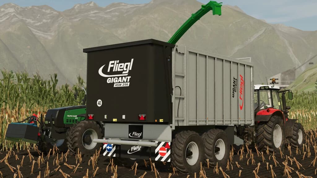 FLIEGL ASW 256 4