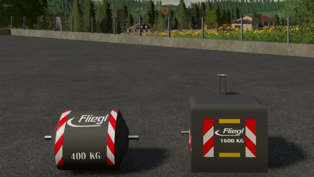 FLIEGL WEIGHT PACK 2