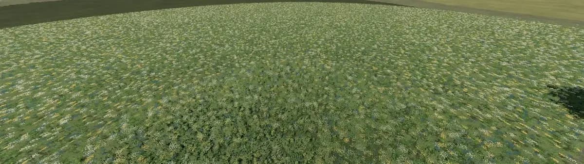FLOWERING COVER CROP PREFAB 3