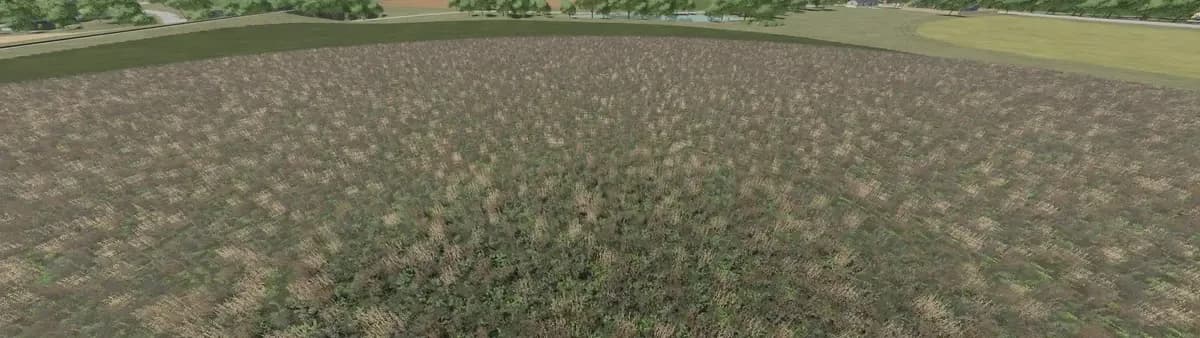 FLOWERING COVER CROP PREFAB 2