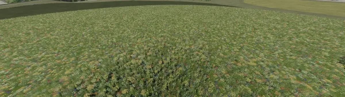 FLOWERING COVER CROP PREFAB