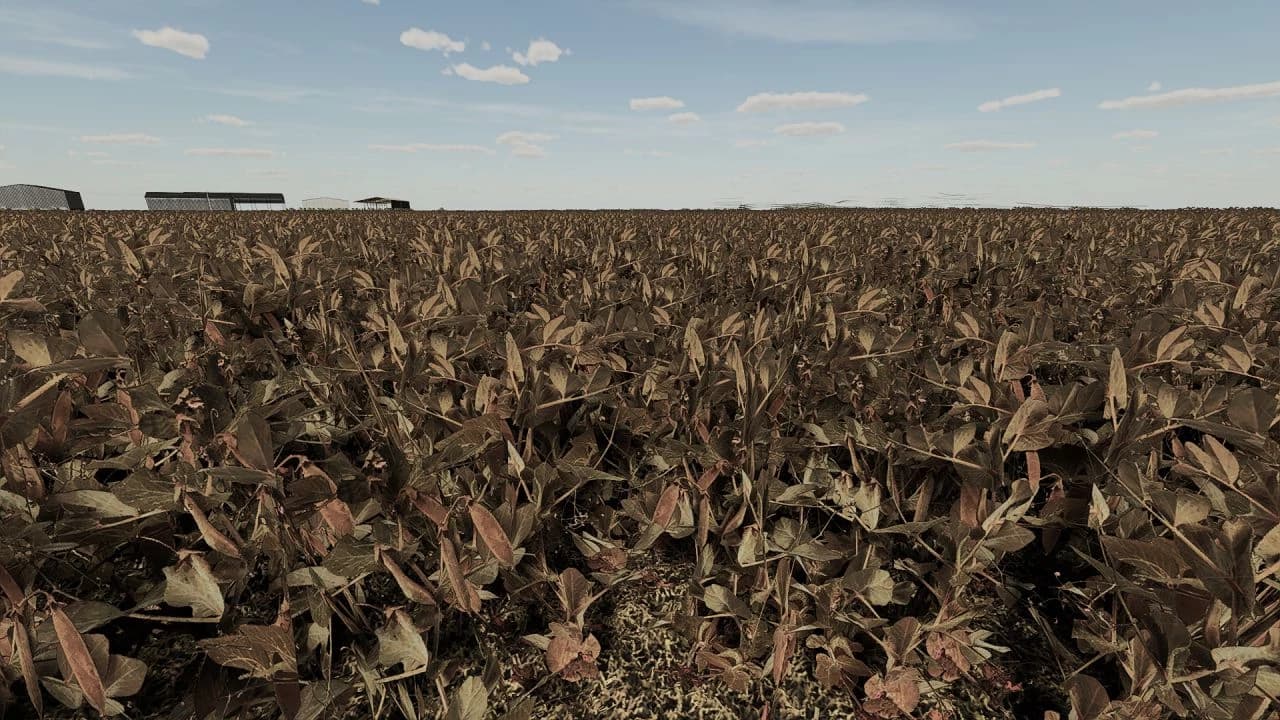 FOLIAGE PEAS 4