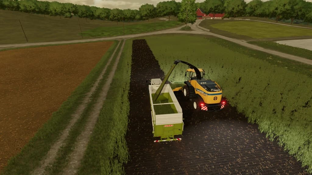 FORAGE CONTRACTS 4