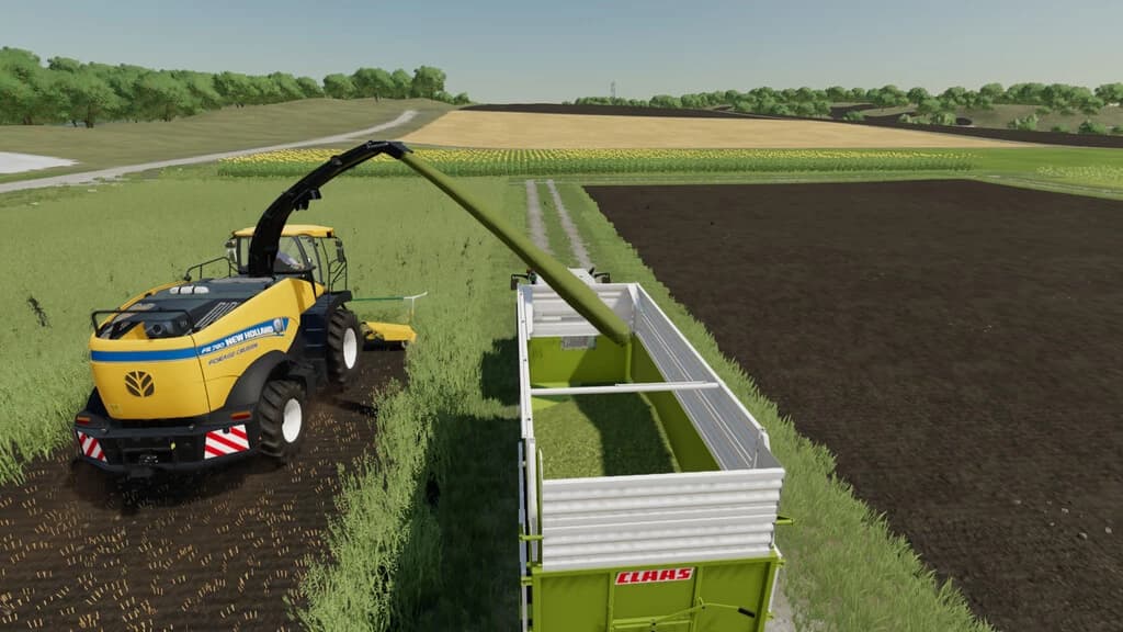 FORAGE CONTRACTS 2