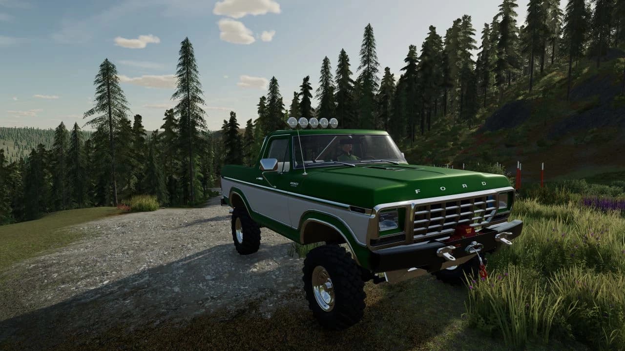 FORD BRONCO CUSTOM 1978 5