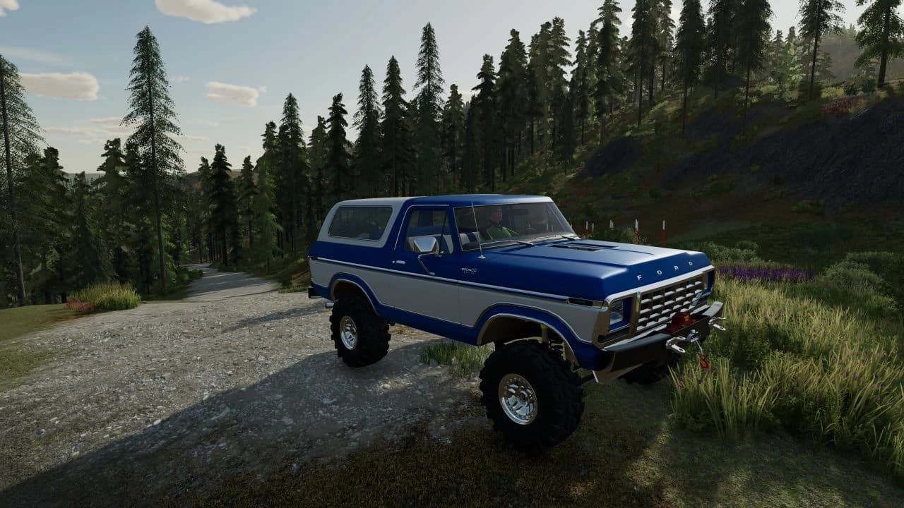 FORD BRONCO CUSTOM 1978 4