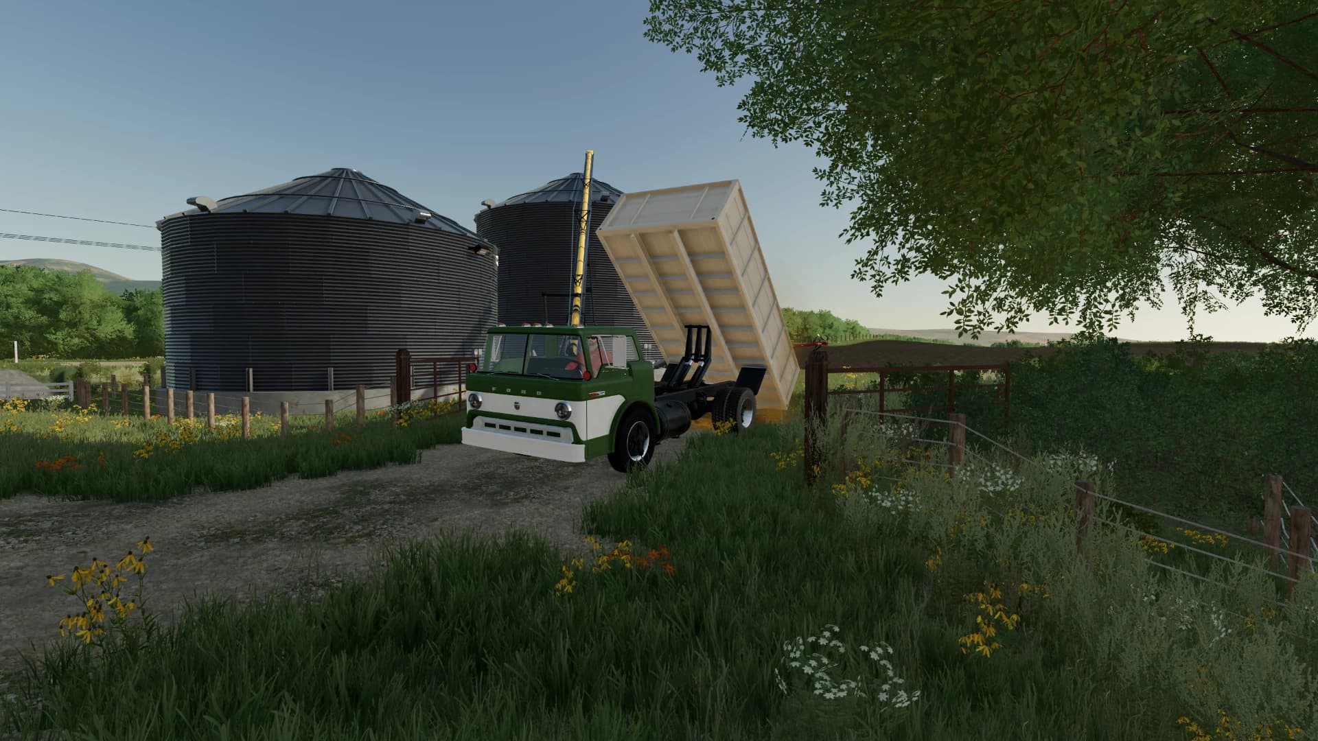 FORD C800 GRAIN TRUCK 2