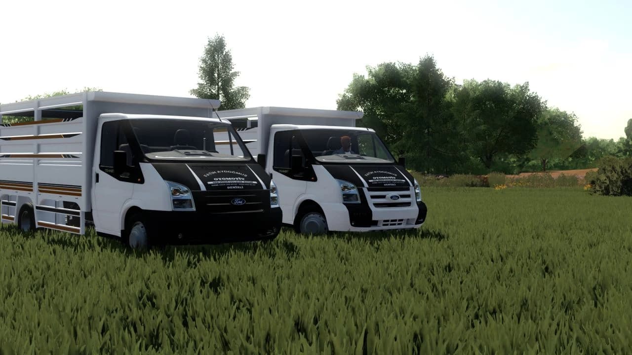 FORD TRANSIT 2012 3