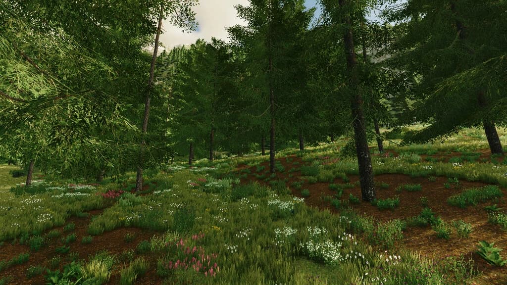 FOREST AND SAWMILL SOUNDS (PREFAB) 4