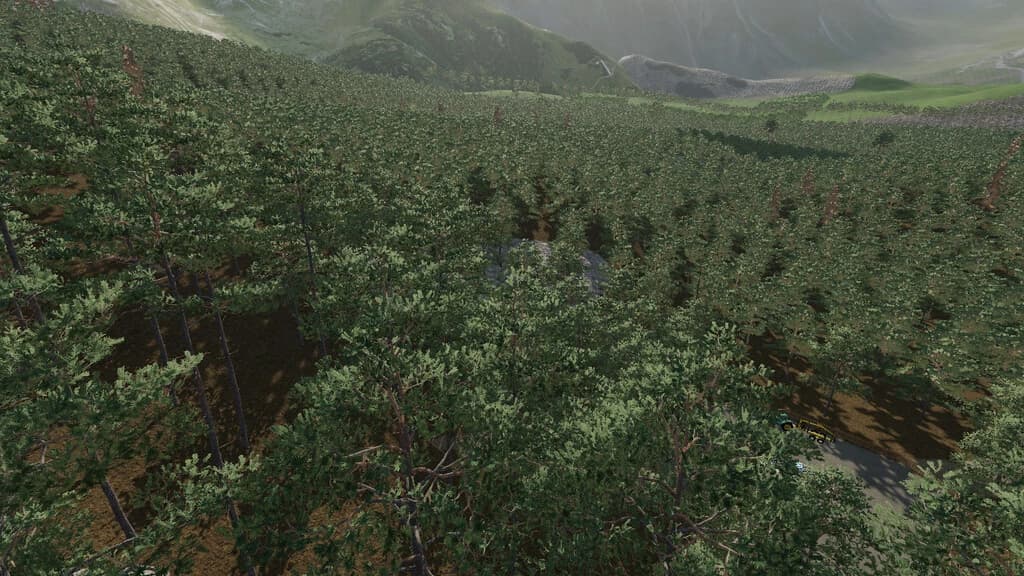 FOREST CHALLENGE 3