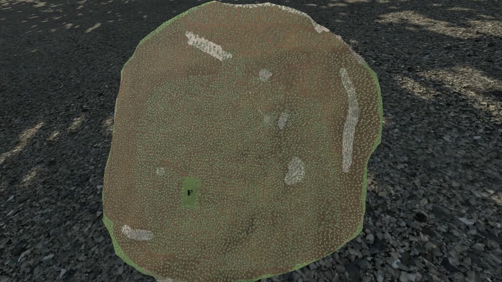 FOREST CHALLENGE 2