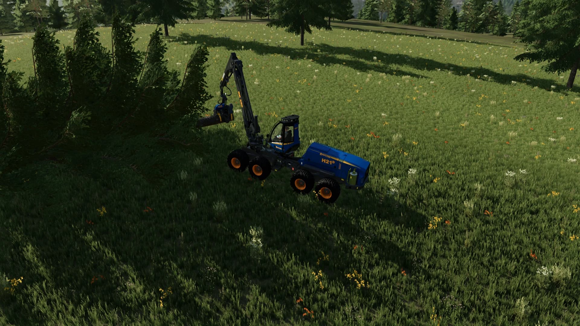 FREE LAND