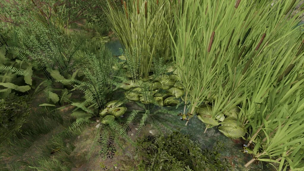 FROGS FOR POND 5