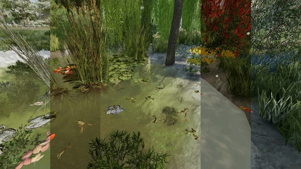 FROGS FOR POND 4