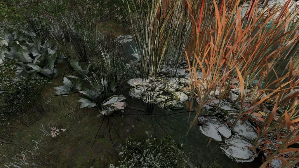 FROGS FOR POND 2