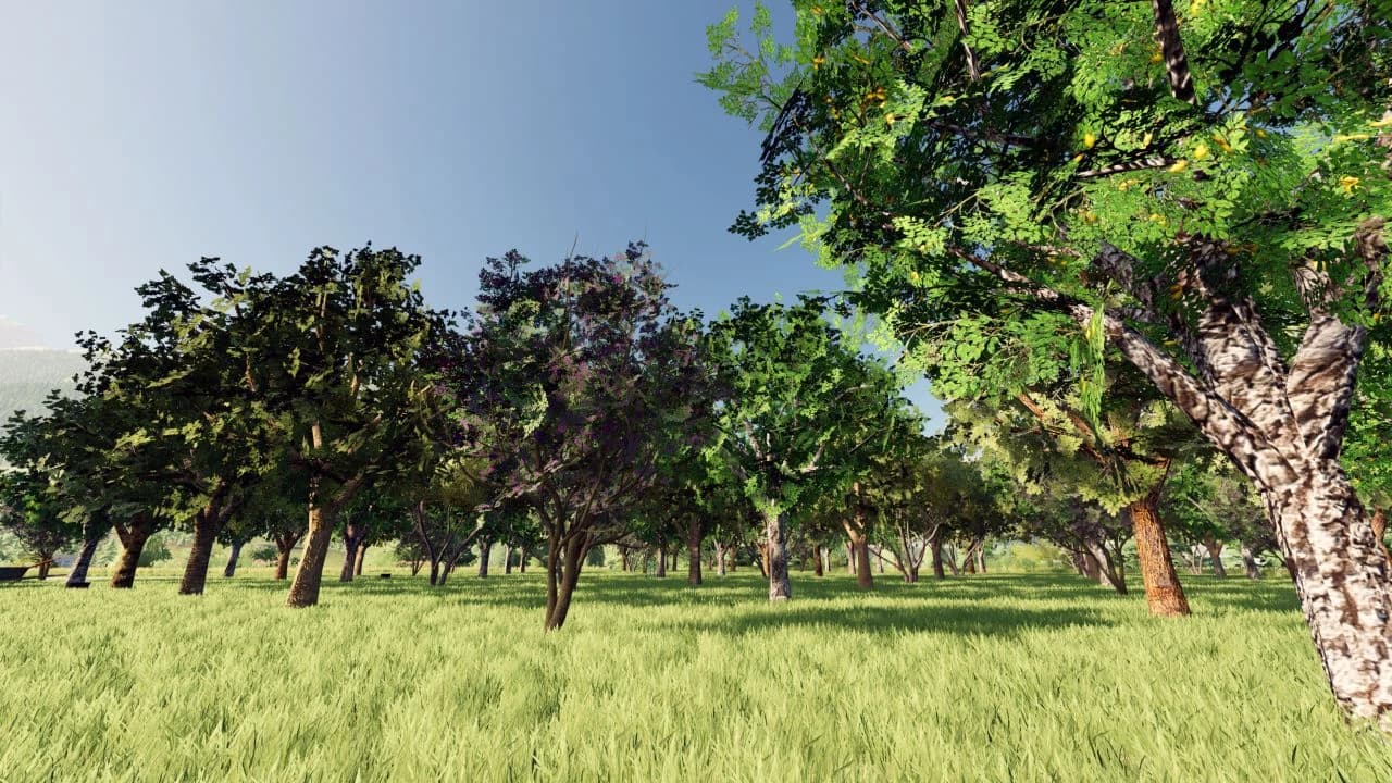 FRUIT ORCHARD