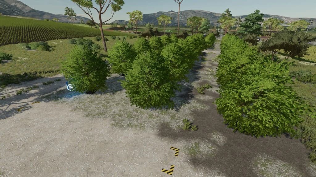 FRUITS PRODUCTION 4