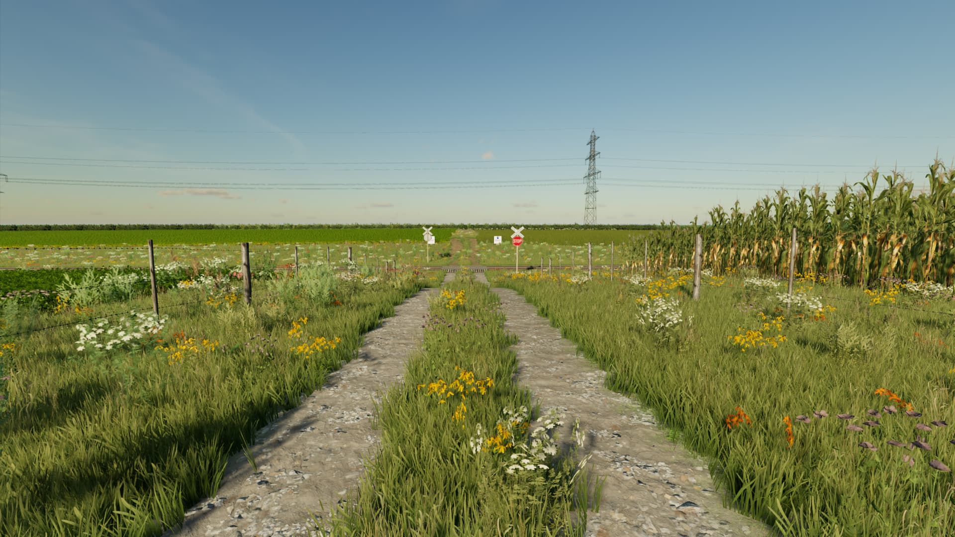 Farming on the Emerald Coast 3