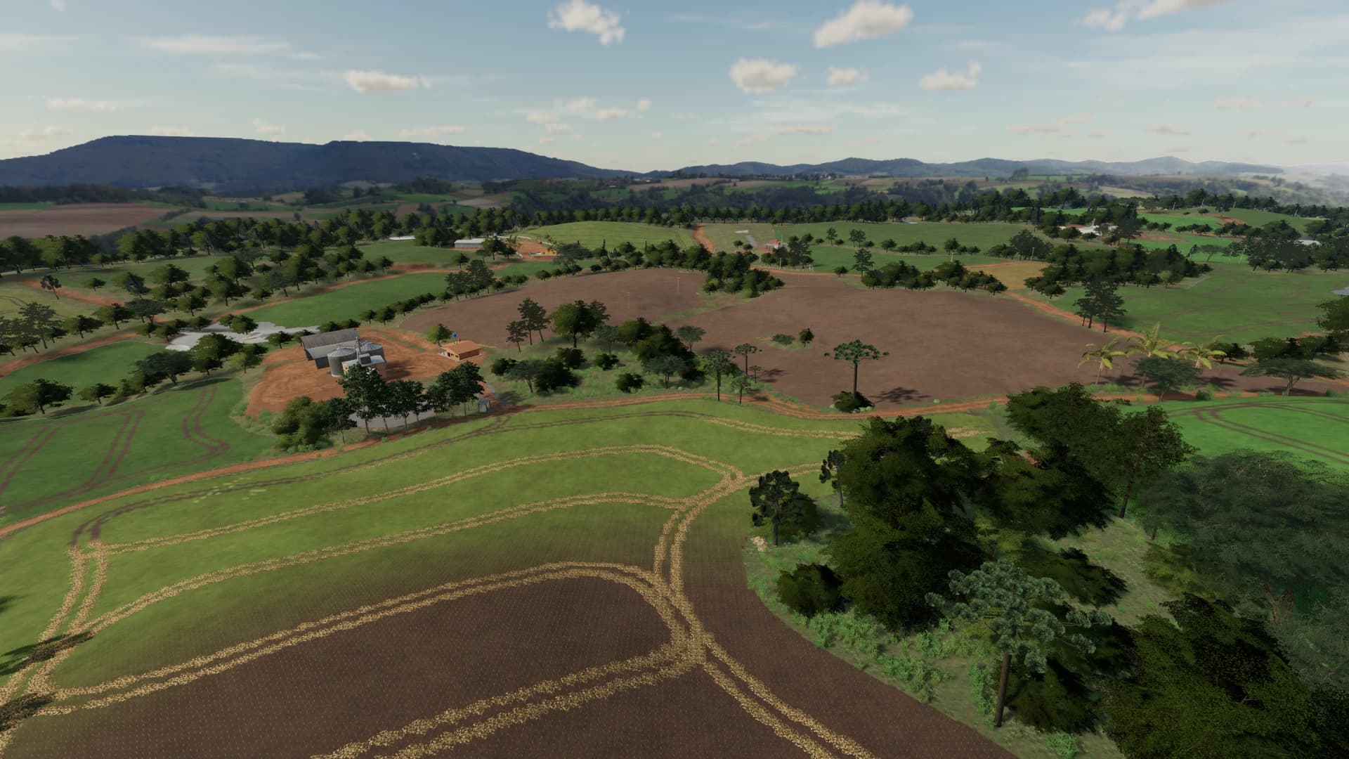 Fazenda Pinheiro 4