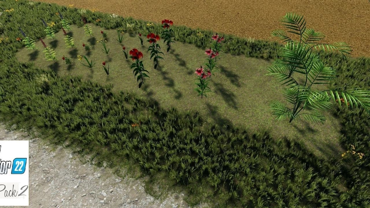 Flower Pack 6