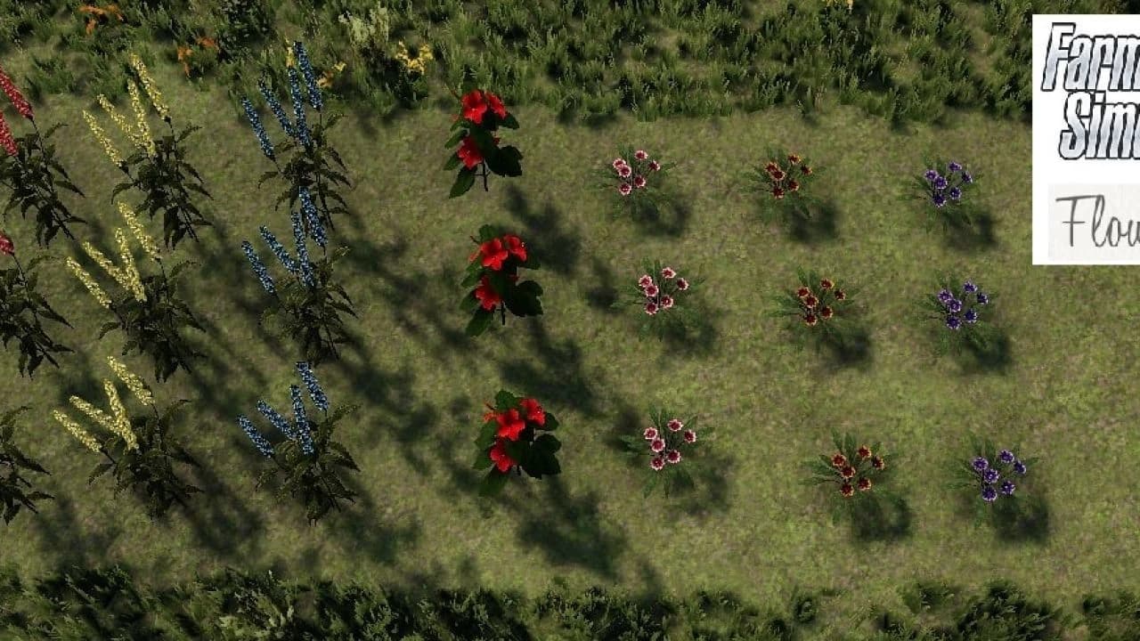 Flower Pack 5