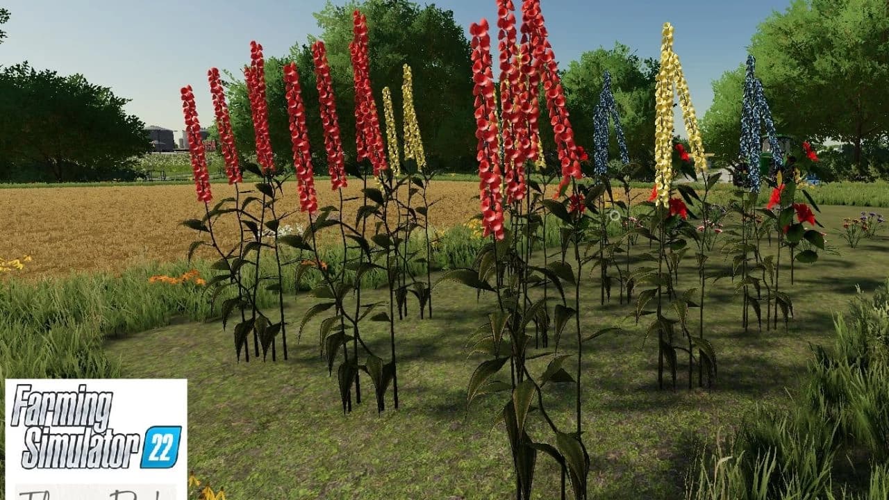 Flower Pack 4