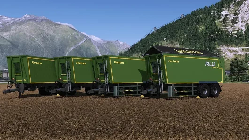 Fortuna Tandem