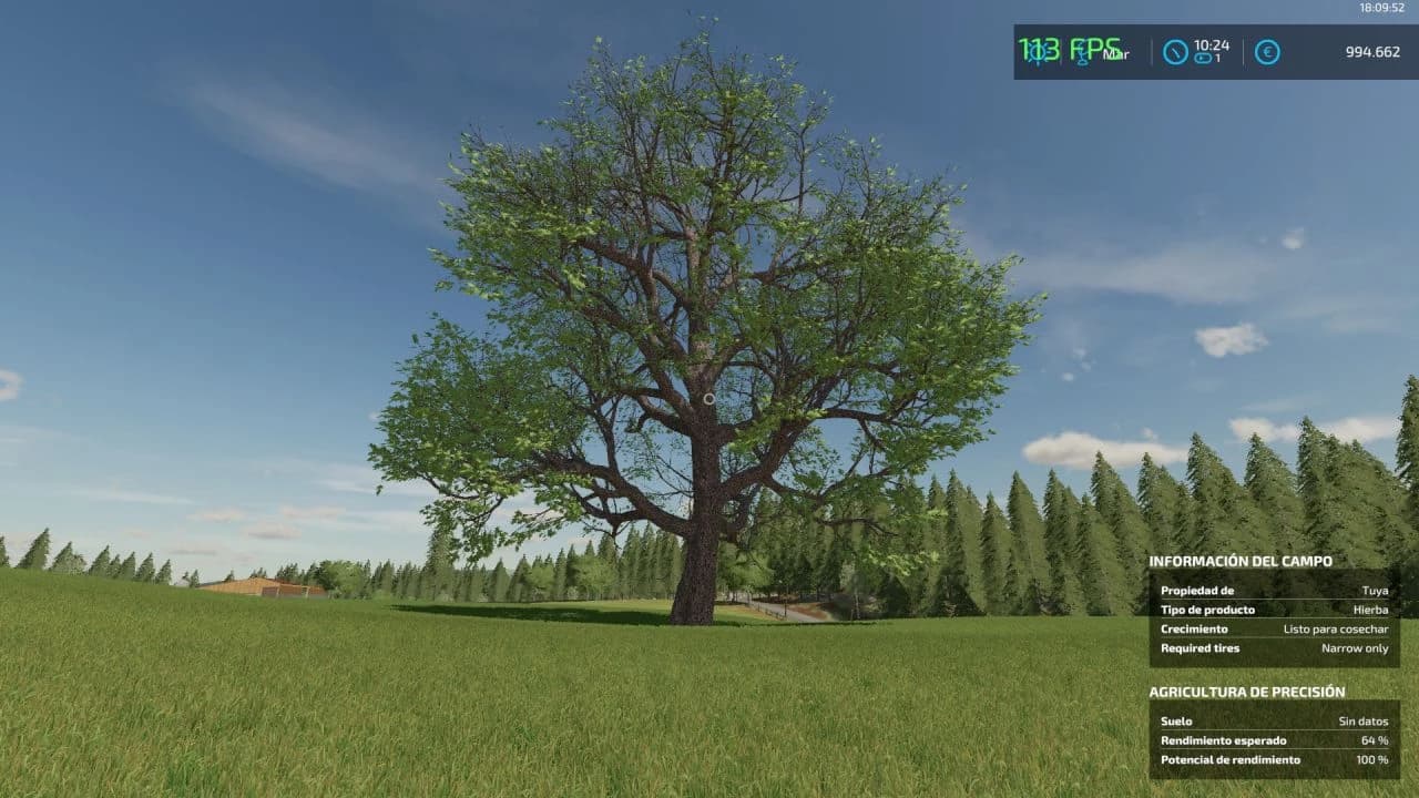 GIANT CHESTNUT BETA 2