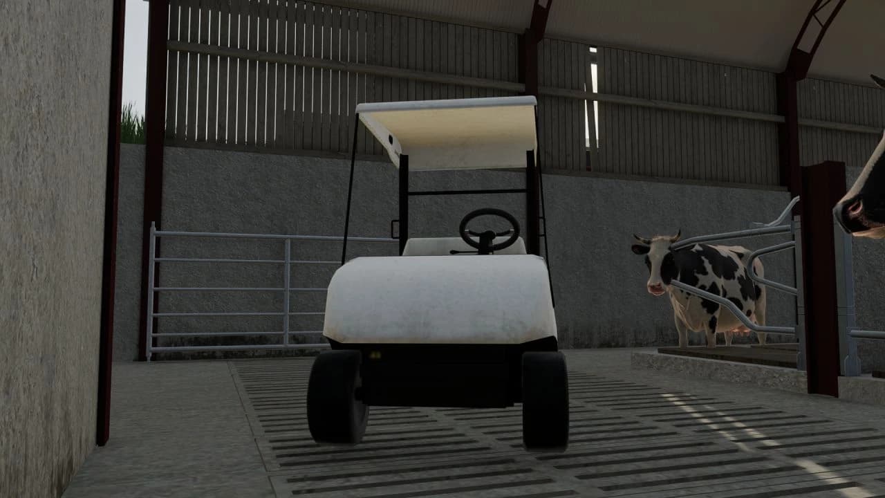 GOLF CART 2