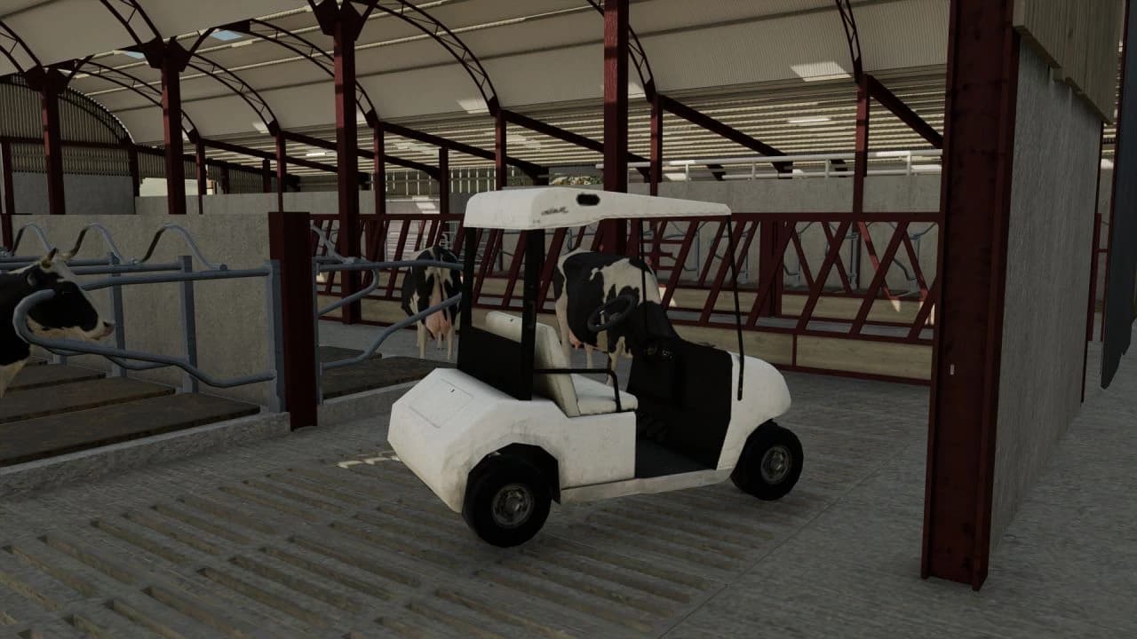 GOLF CART