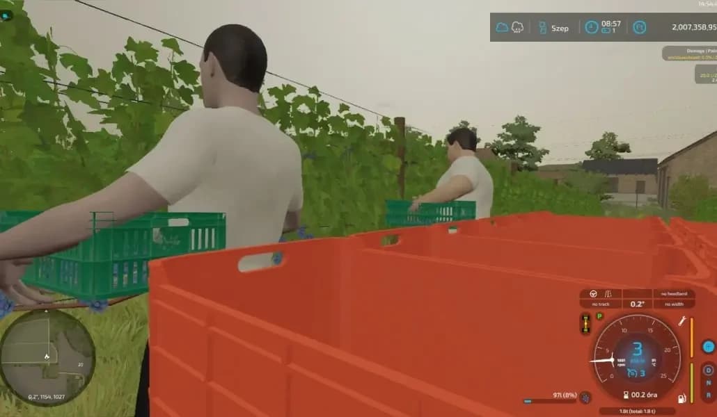 GRAPE HARVEST WITH WORKERS 3
