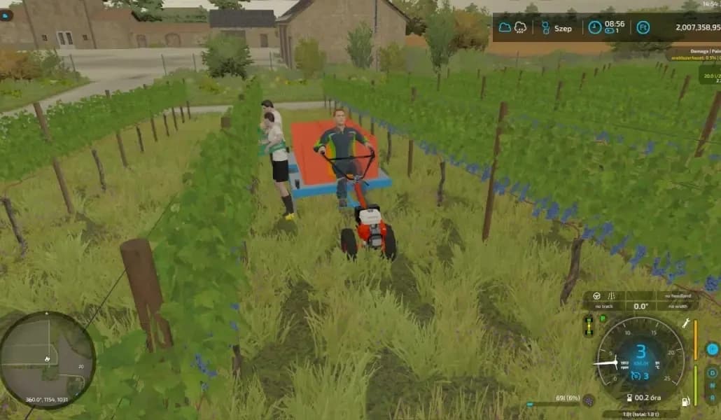 GRAPE HARVEST WITH WORKERS