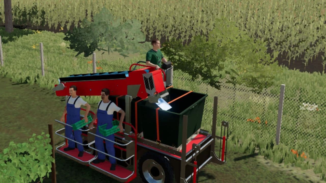 GRAPE HARVESTING BRIGADE 4