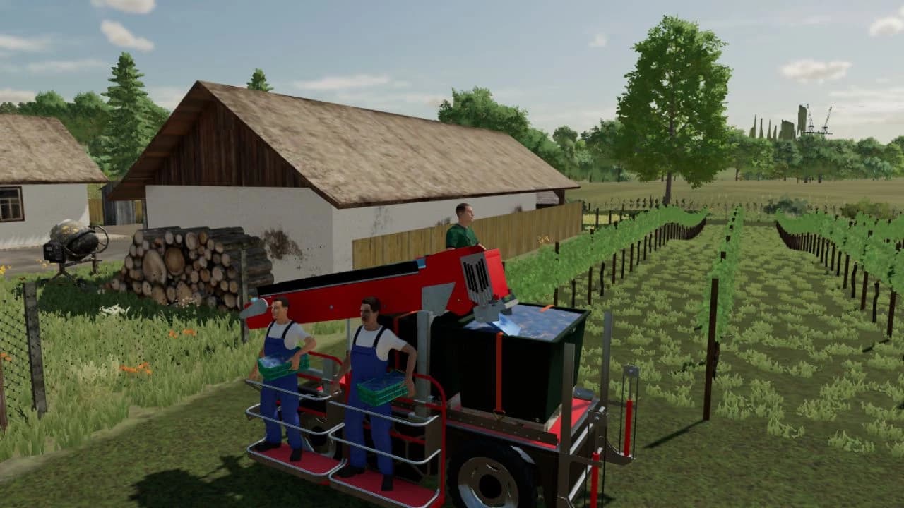 GRAPE HARVESTING BRIGADE 3