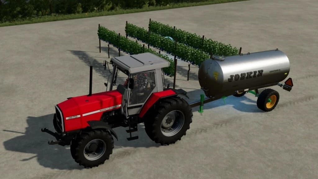 GRAPE ORCHARD 2