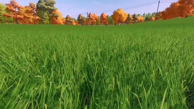 GRASS TEXTURE 3