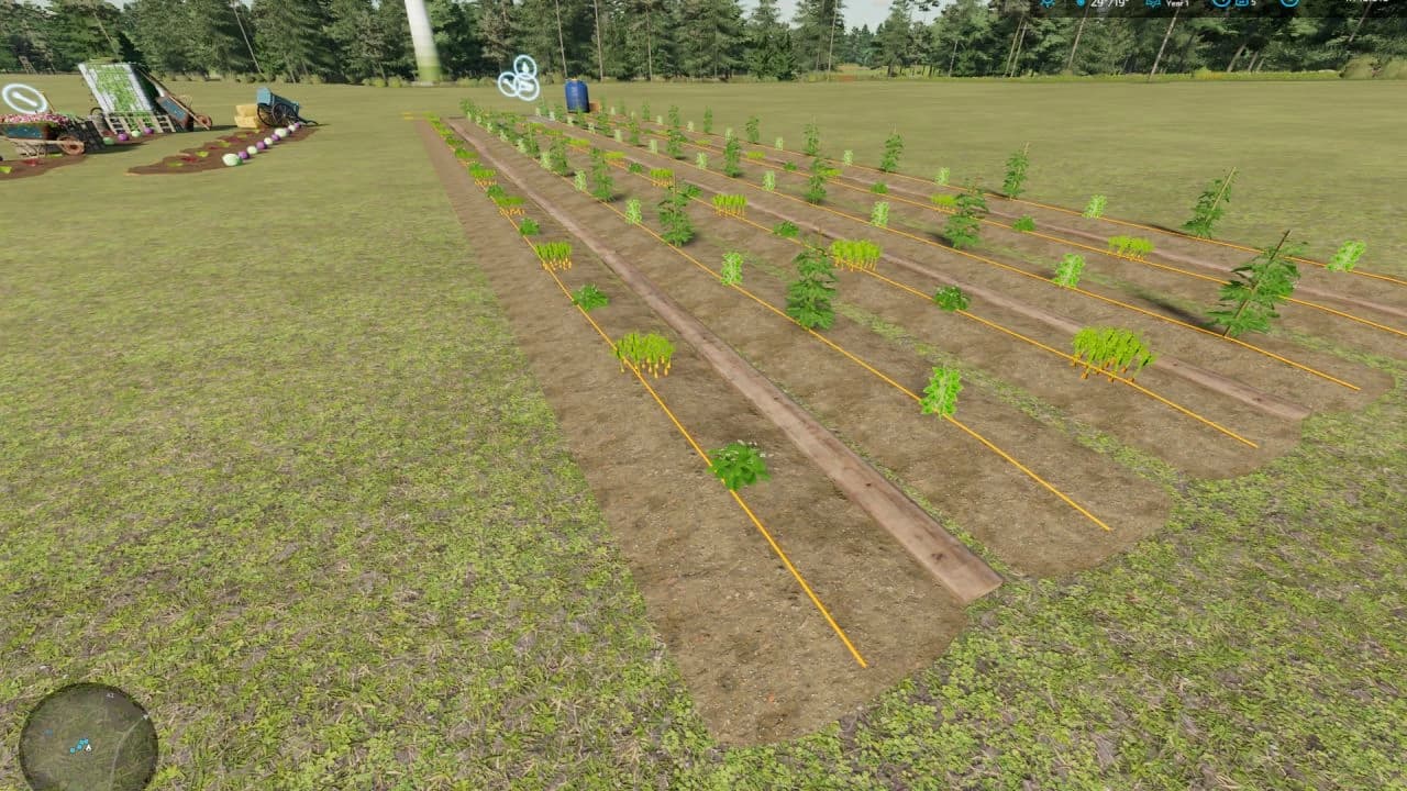 GREENHOUSES (REVAMP) 5