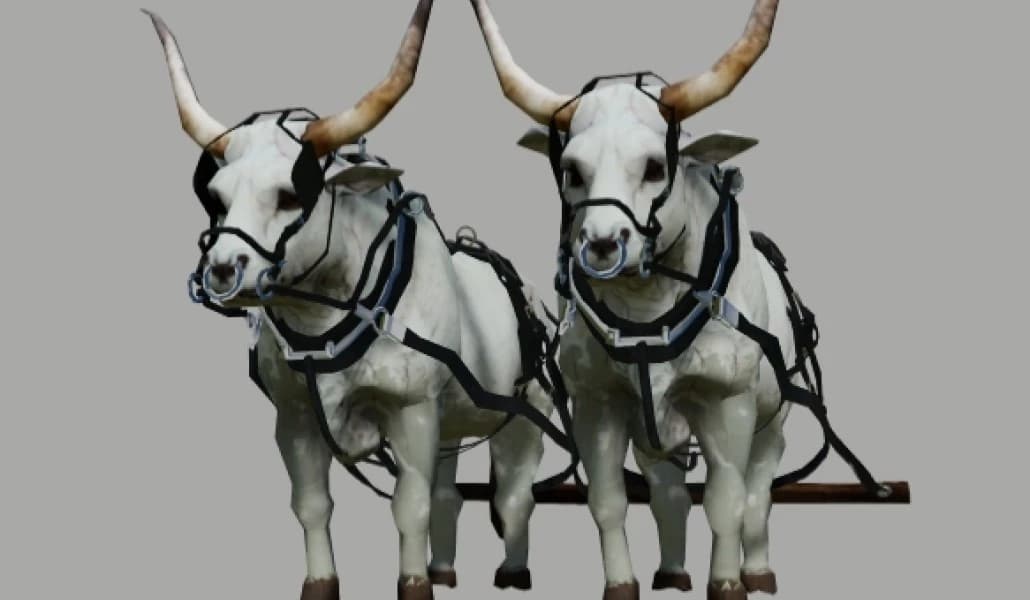 GREY OX 2