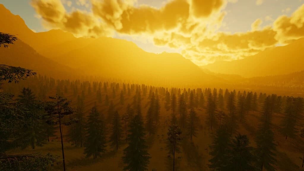 Greenwood Forest 5