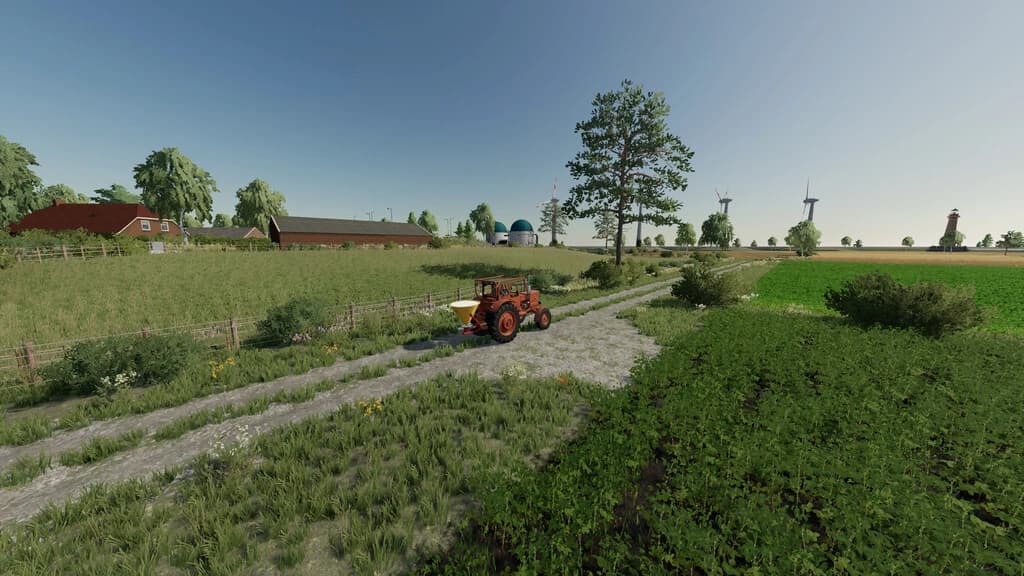 HALLIG PETRUS 6