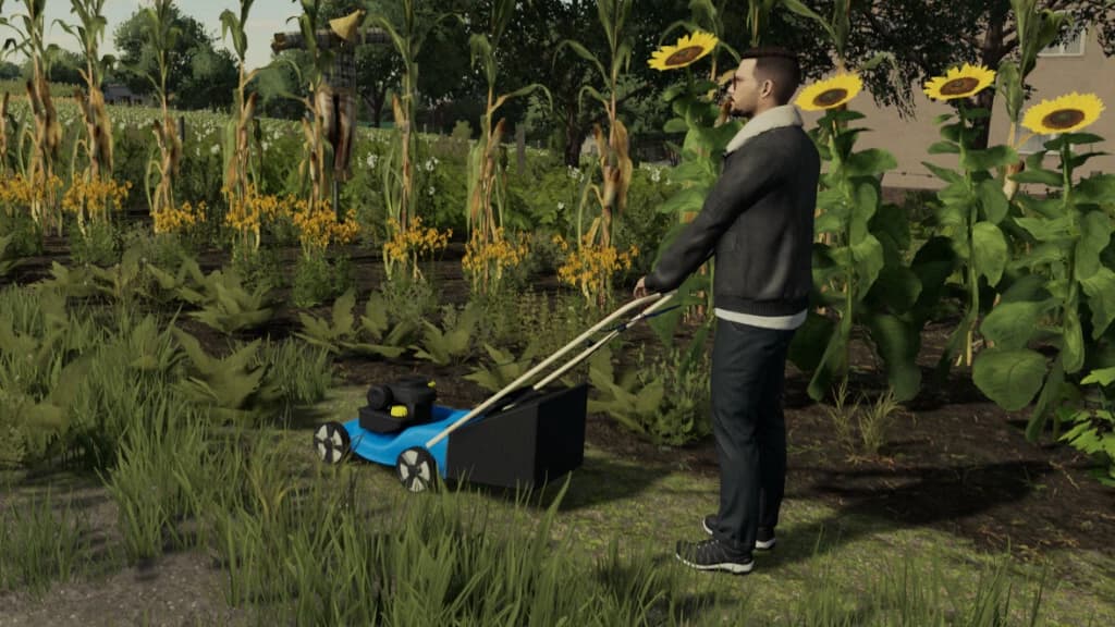 HAND LAWN MOWER 5
