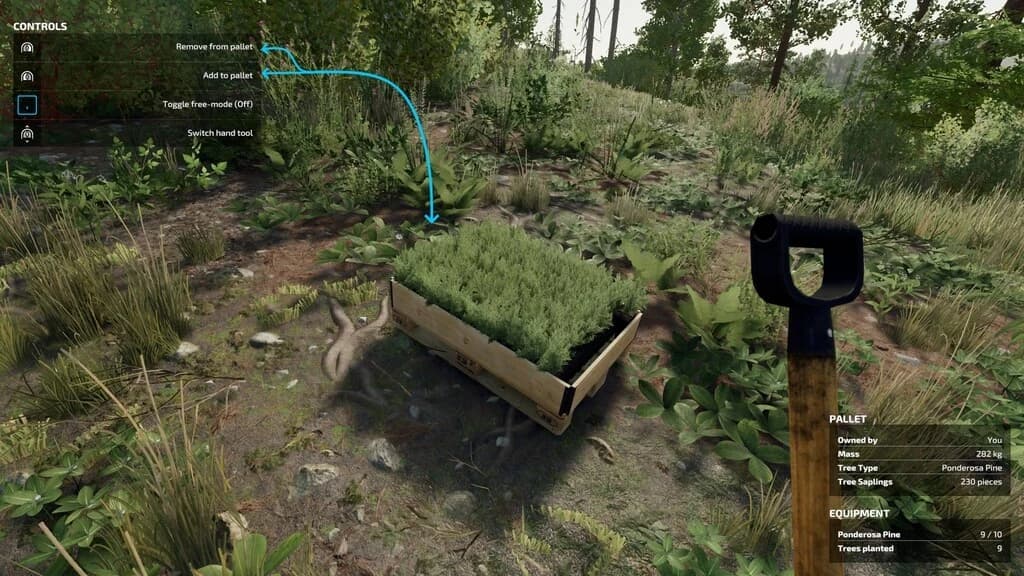 HAND PLANT SAPLINGS 4