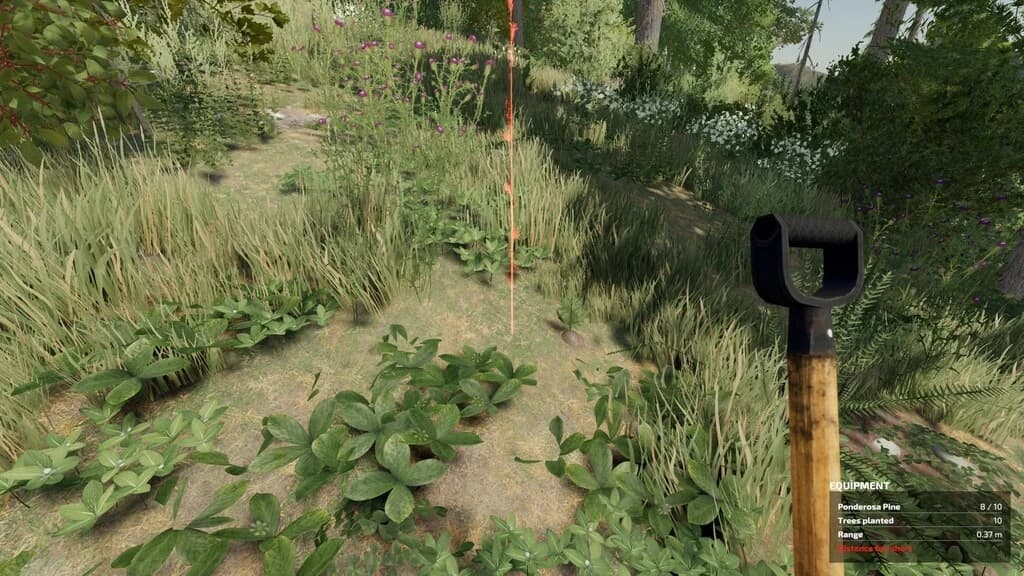 HAND PLANT SAPLINGS 3