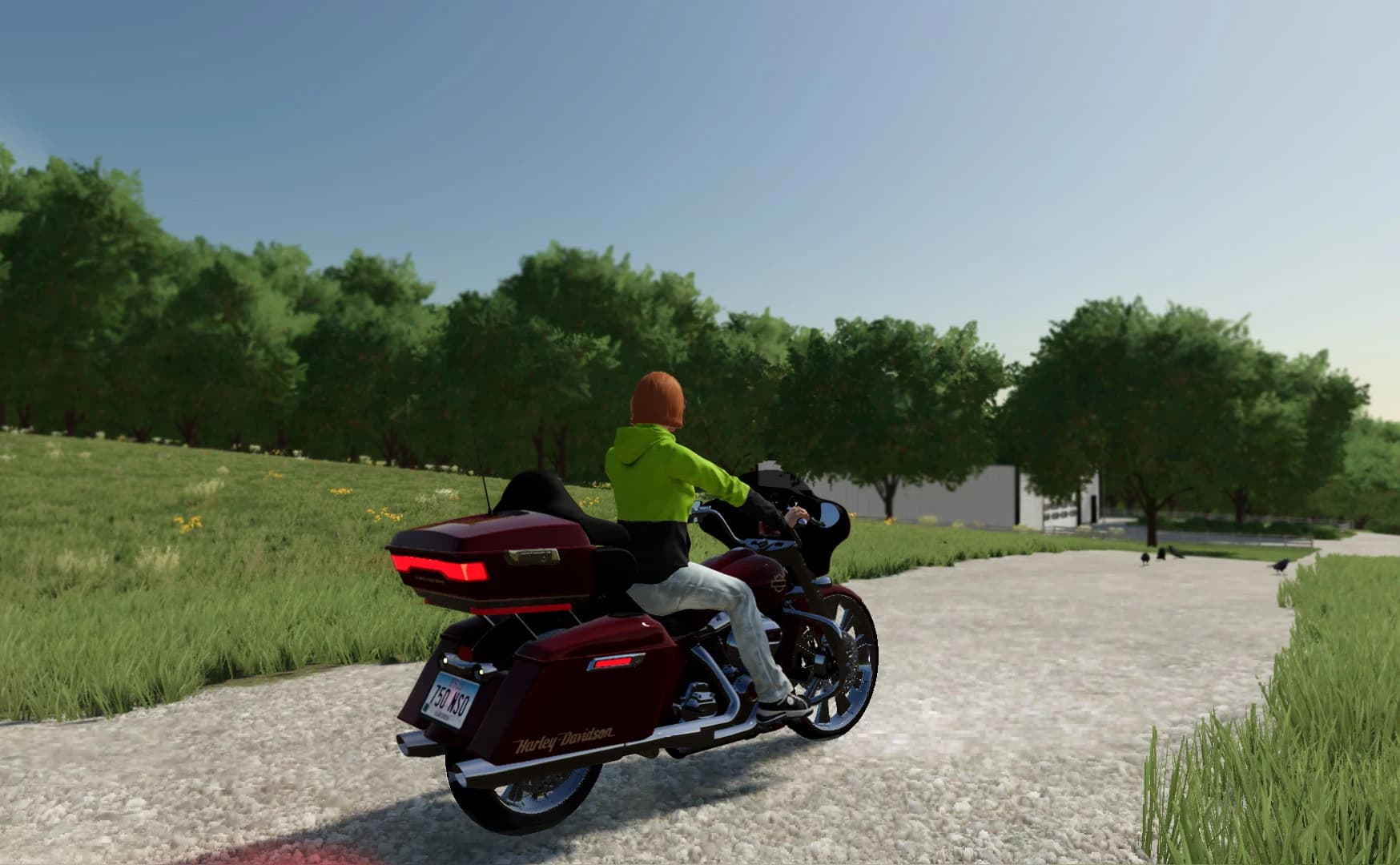 HARLEY-DAVIDSON STREET GLIDE - (REWORK) 6