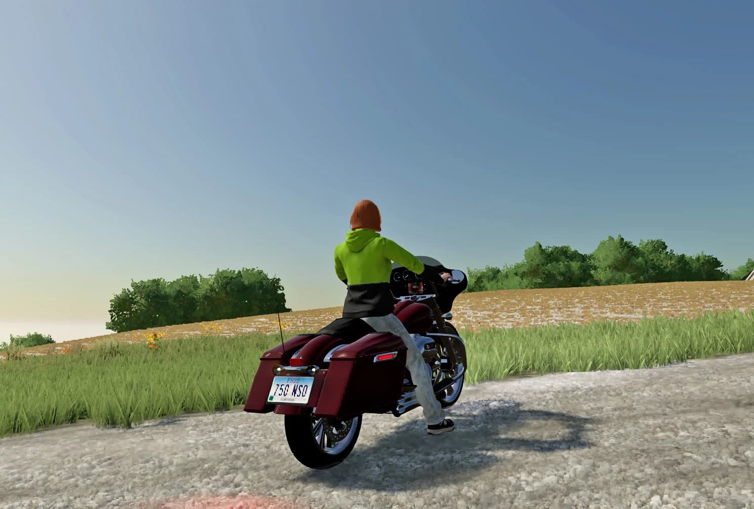 HARLEY-DAVIDSON STREET GLIDE - (REWORK) 4