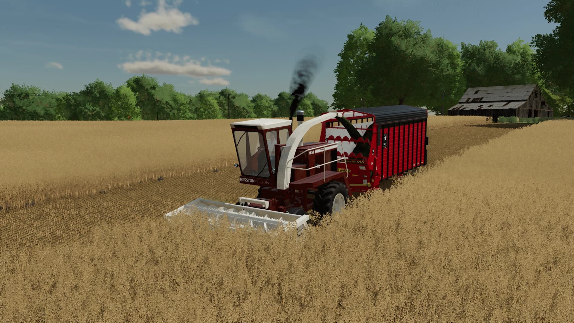 HESSTON FIELD QUEEN 2