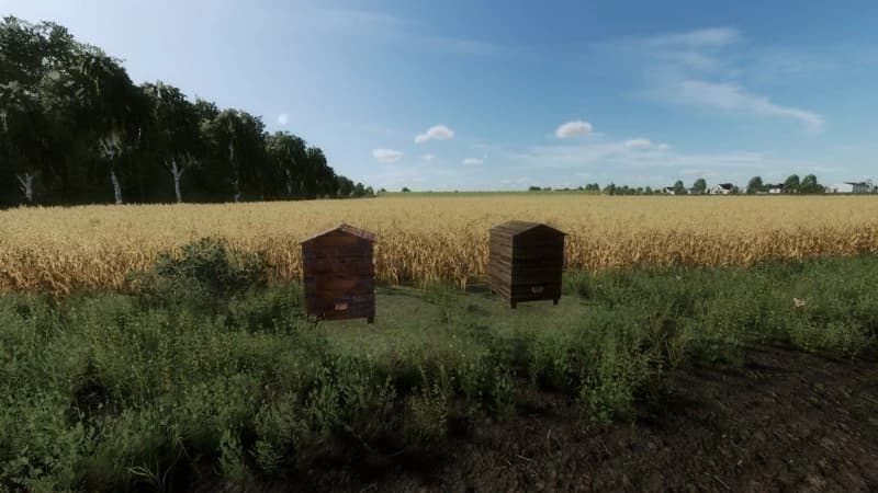 HIVES 2