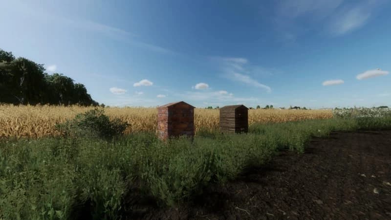 HIVES